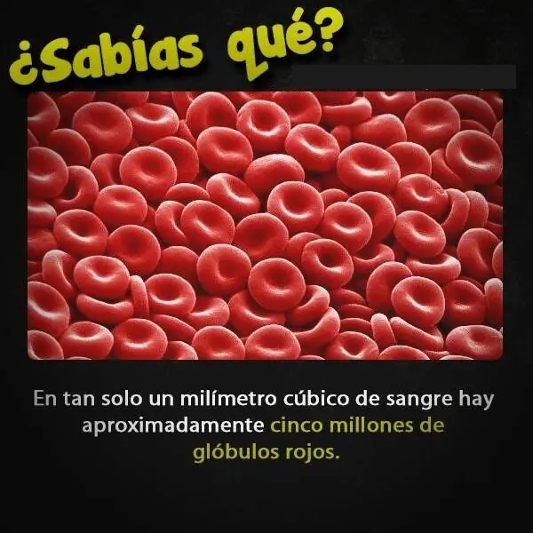 curiosidad