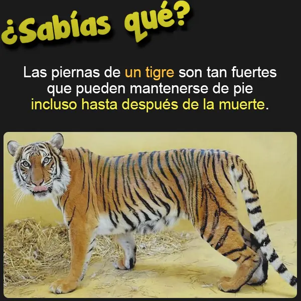 curiosidades del mundo