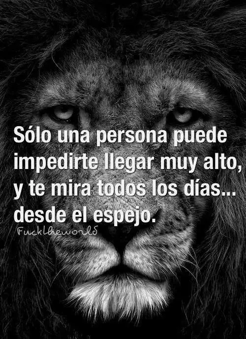 cotas cotas