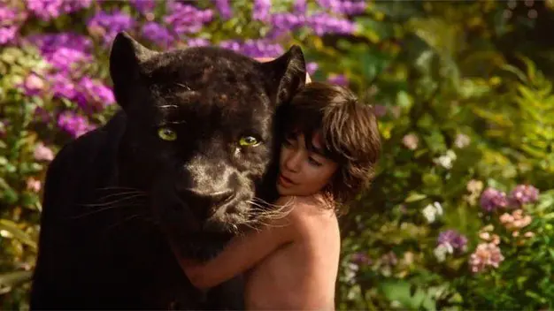 baloo
