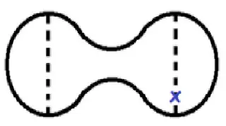 nf2