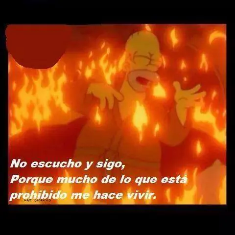 don osvaldo