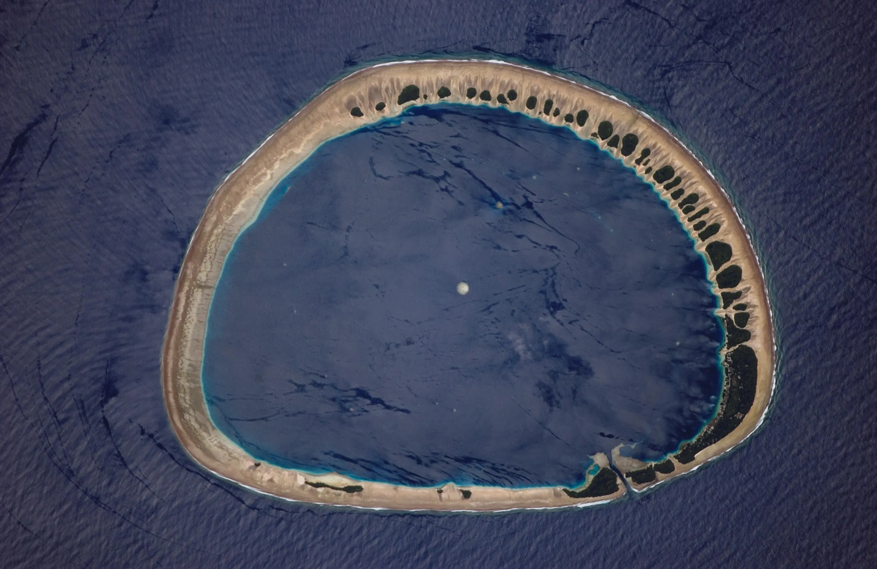 pacifico