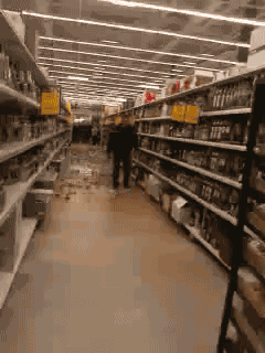 Entra lince, te apuesto unos bits a que...