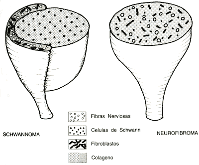 medicina