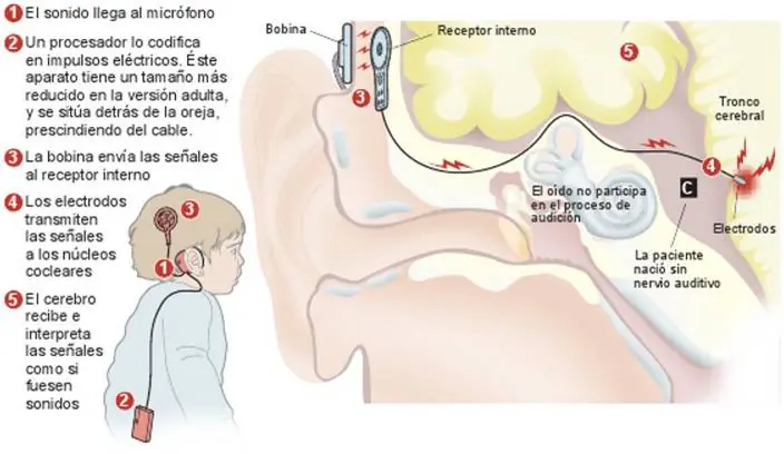 medicina