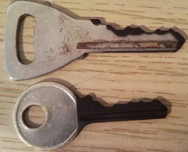 Volvio la inteligencia colectiva a Taringa, te enseño como