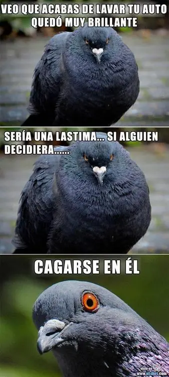 Imagenes para mearse de la risa¡¡¡