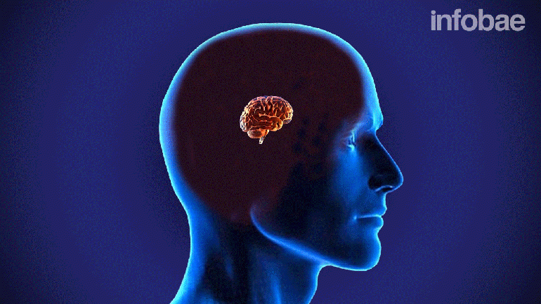 Revolucion, salio la pastilla que te hace mas inteligente