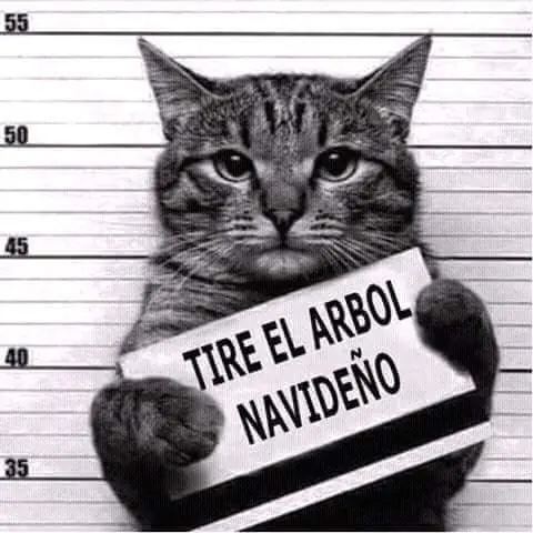imagenes