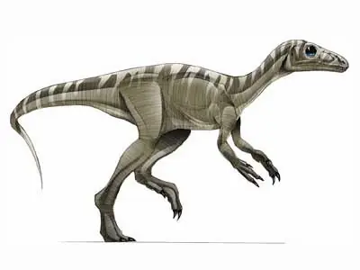 Dinosaurios argentinos