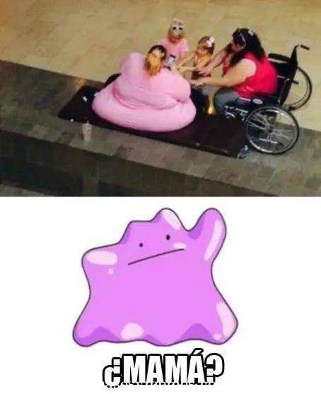 Imagenes graciosas
