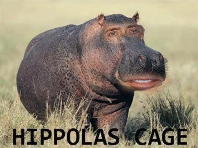 montajes