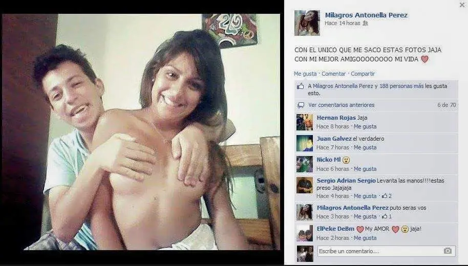Pluma pluma gay