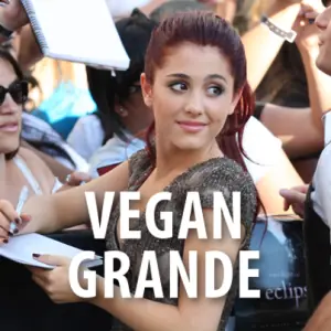 ariana grande ariana grande