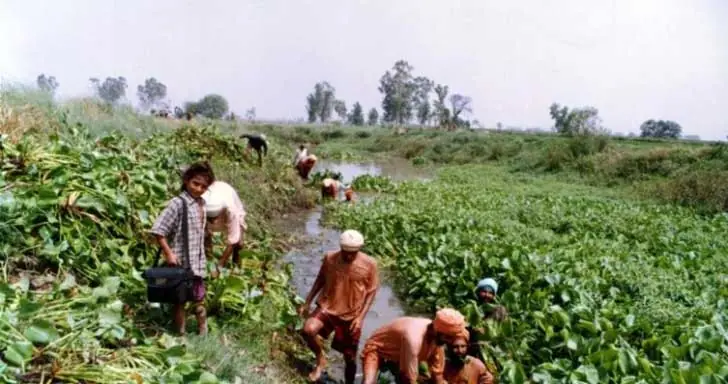 contaminacion de rios