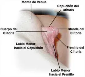 estudios