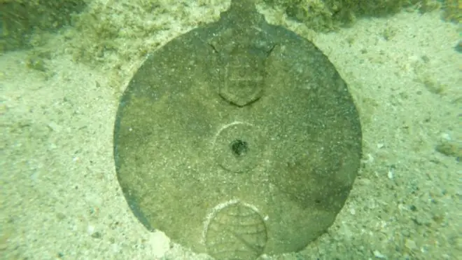 Encuentran un barco hundido hace 500 años, mira sus tesoros