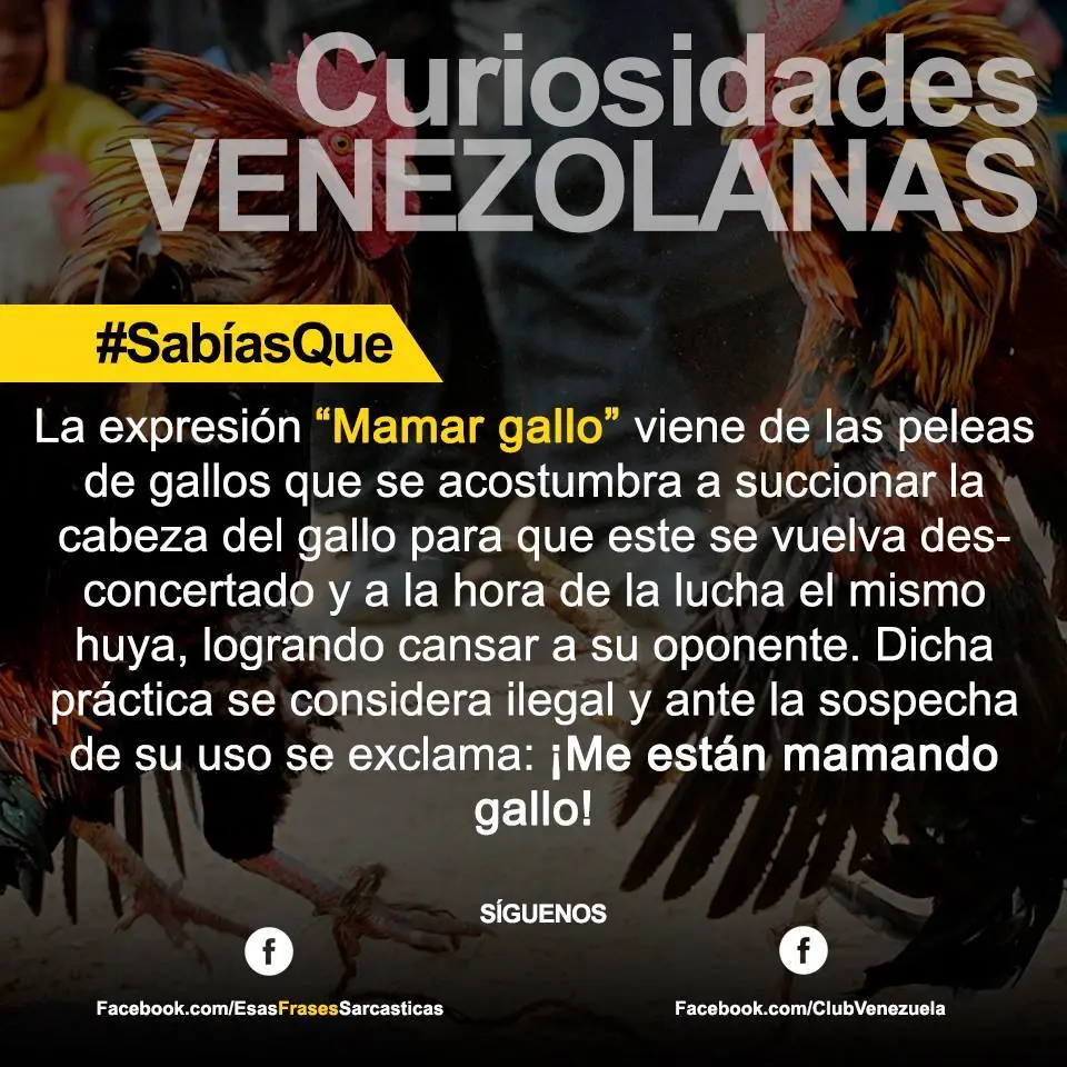 venezuela venezuela