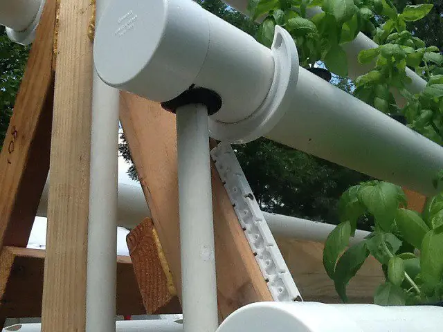 Crea tu Propio Sistema de Cultivo Hidropónico