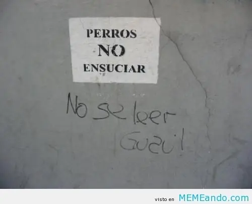 Chiste