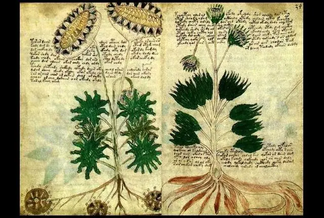 historia historia