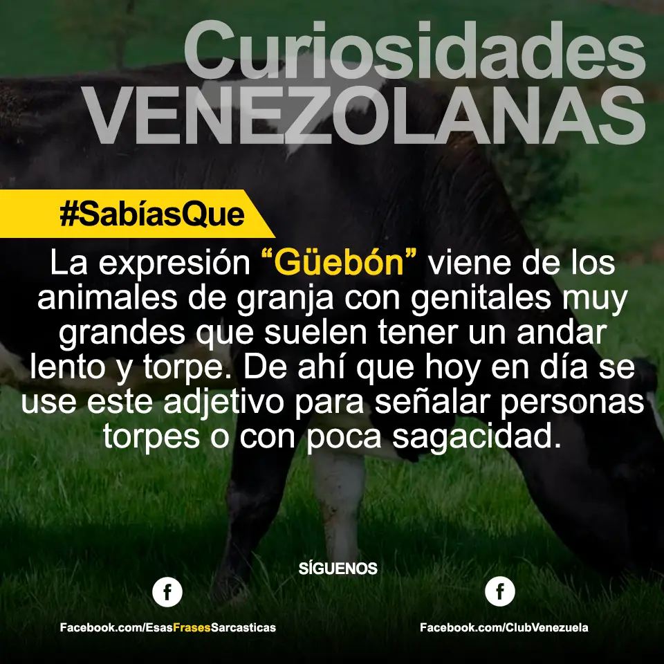 curiosidades
