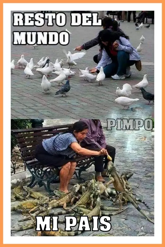 Humor Grafico