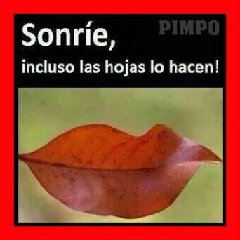 imagenes de amor