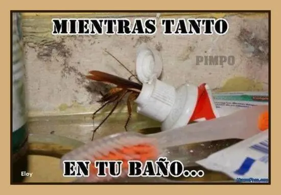 Humor Grafico