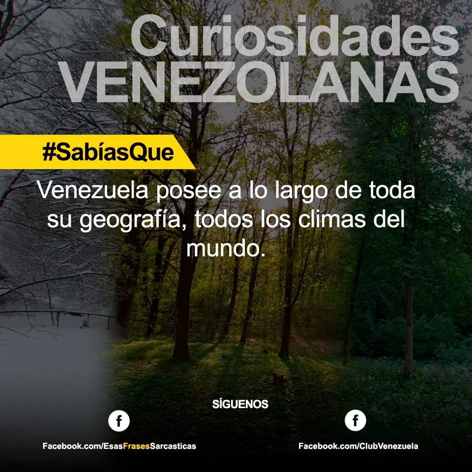 venezolanas