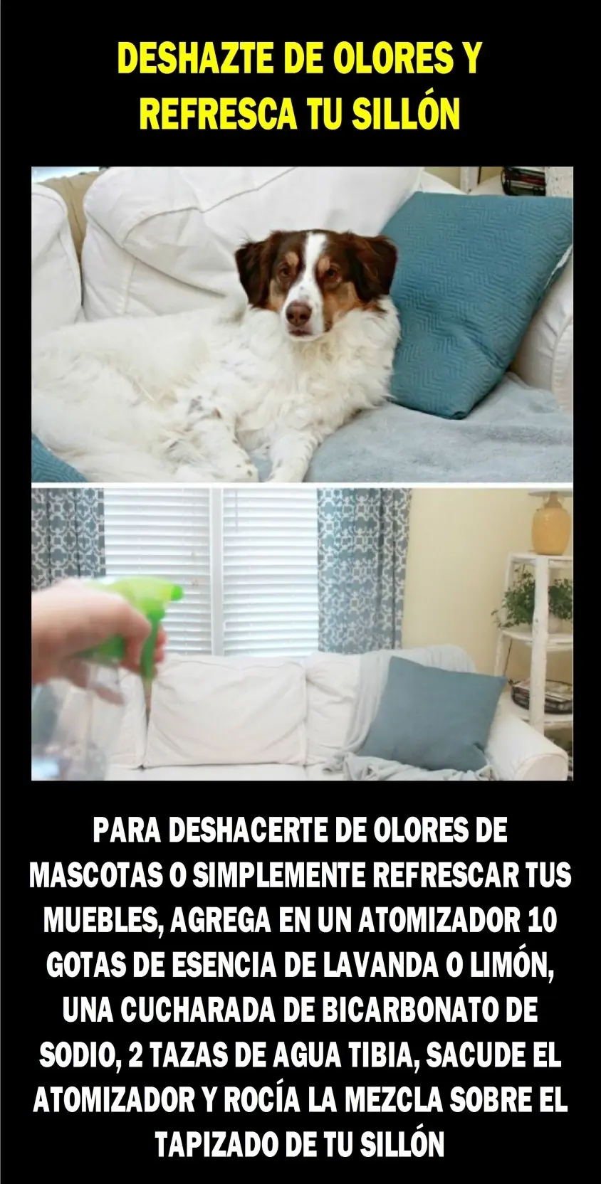 Interesante