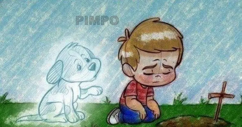 frases