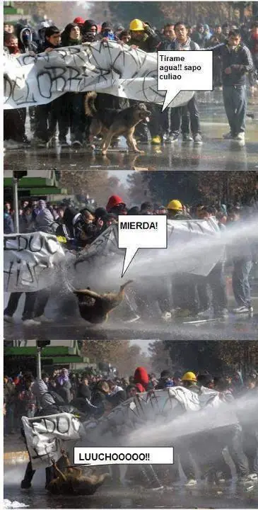 semana