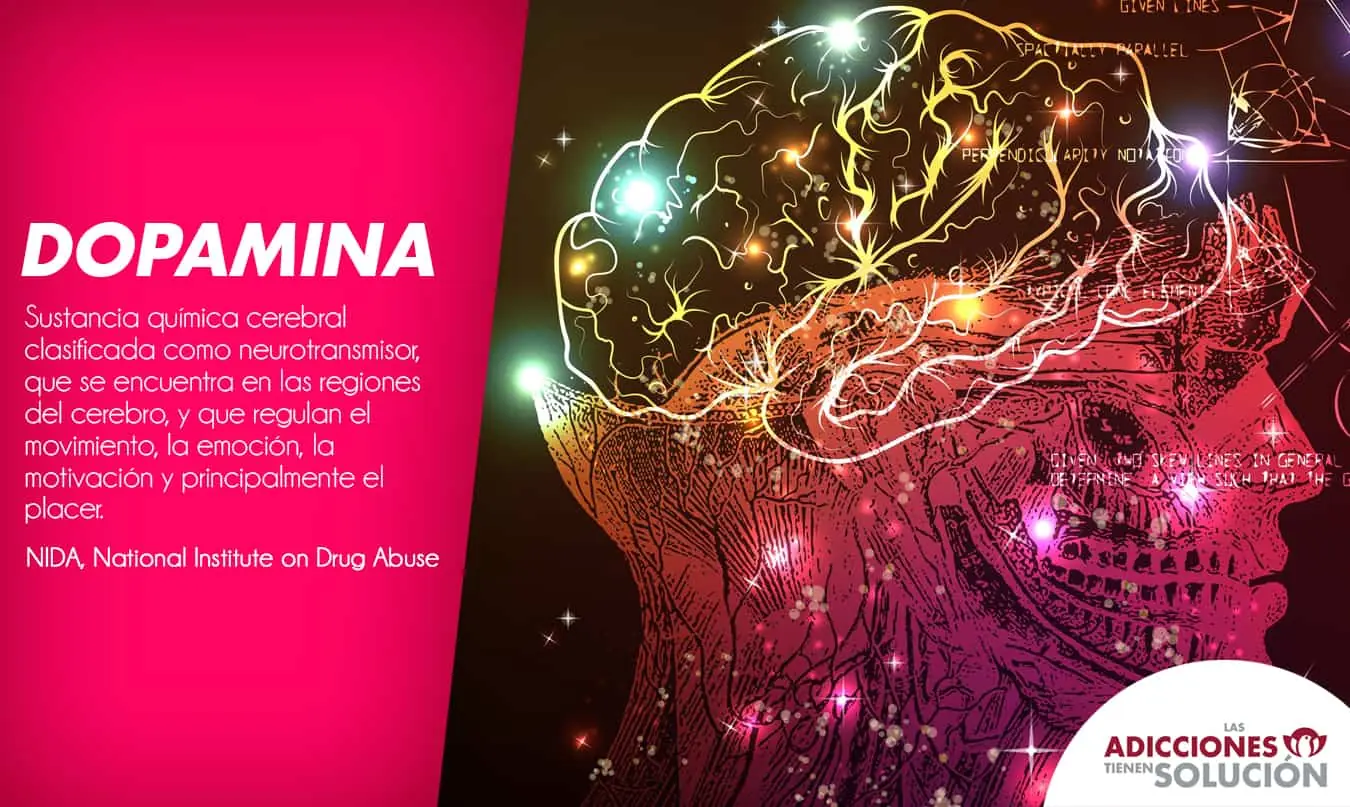ciencia