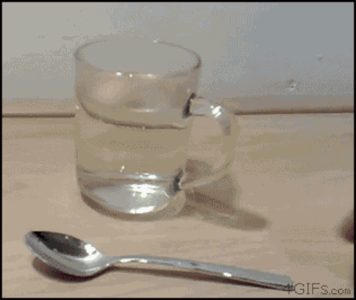 Yeah aprende, bitch!