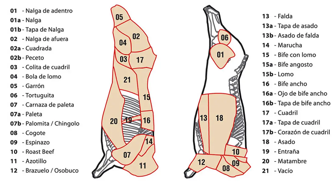 Cortes de carne vacuna de Argentina