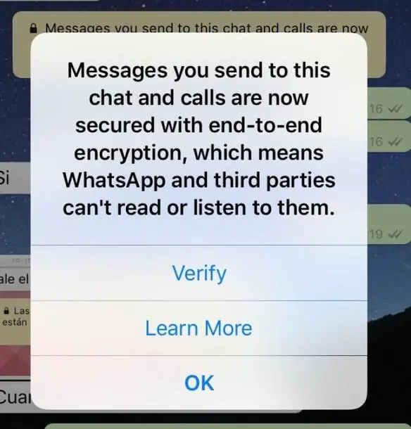 whatsapp whatsapp
