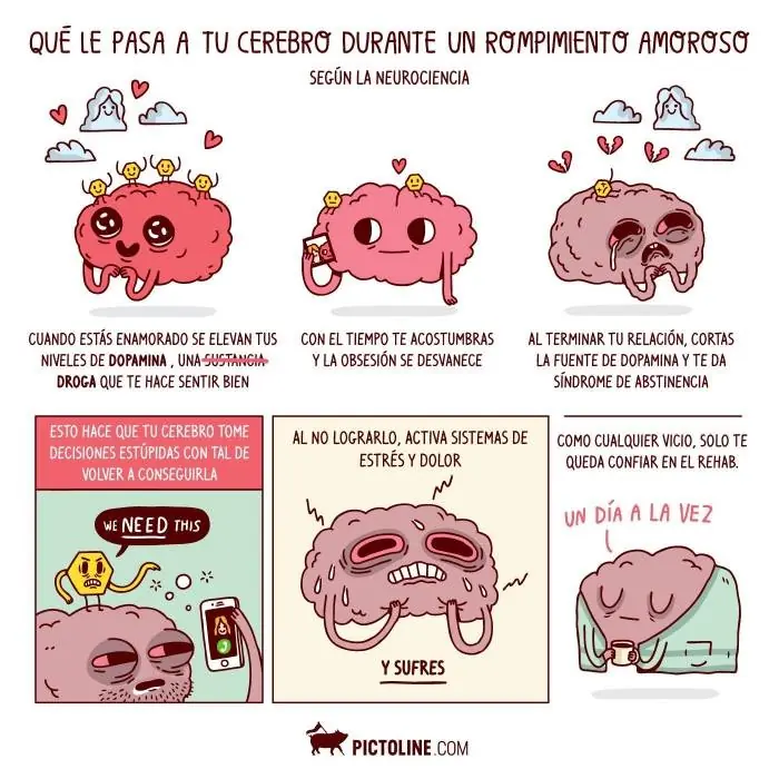 14 curiosas ilustraciones explican algunas cosas