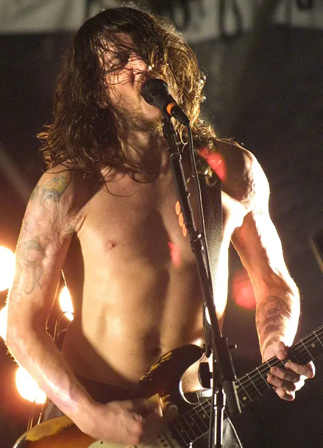 guitarrista guitarrista
