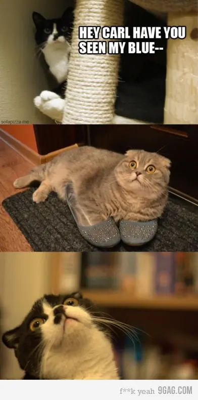 Gifs