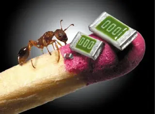 69 69