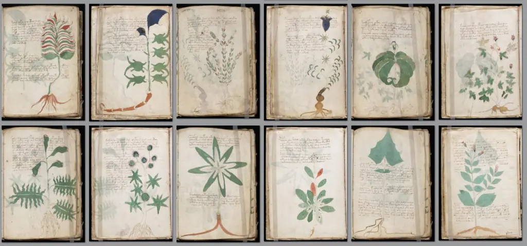 Voynich