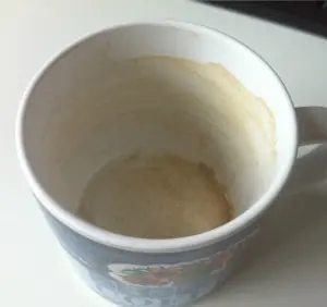 huevos