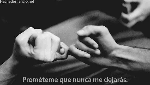 dedicado a dedicado a
