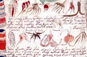 Voynich