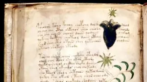 El misterioso e histórico manuscrito Voynich El misterioso e histórico manuscrito Voynich