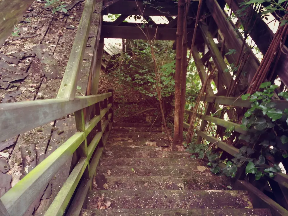 Zoo de París donde se exhibían humanos a principios siglo XX