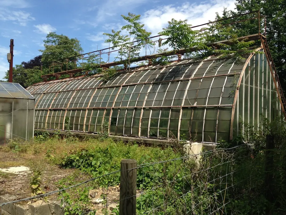 Zoo de París donde se exhibían humanos a principios siglo XX