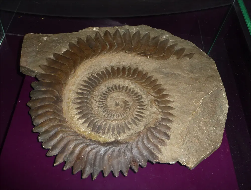 Criaturas prehistóricas raras o poco conocidas.Entrá!